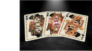 Collectible Playing Cards - Bicycle Poker Dogs