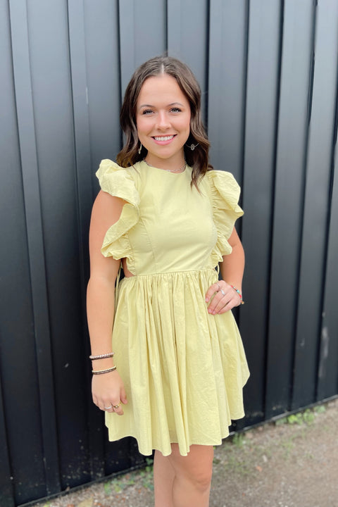 Delanie Mini Dress