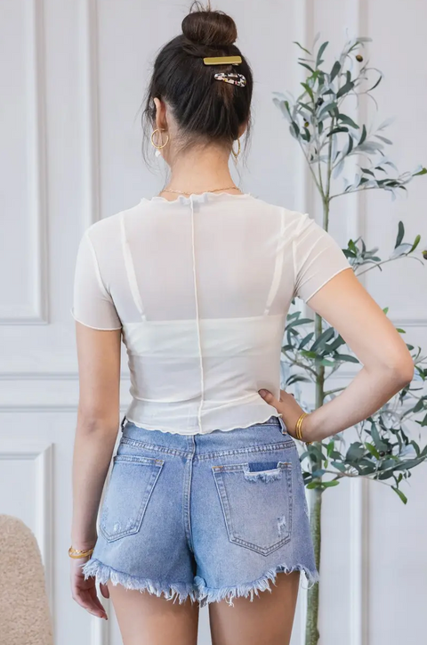 Samira Mesh Fabric Top