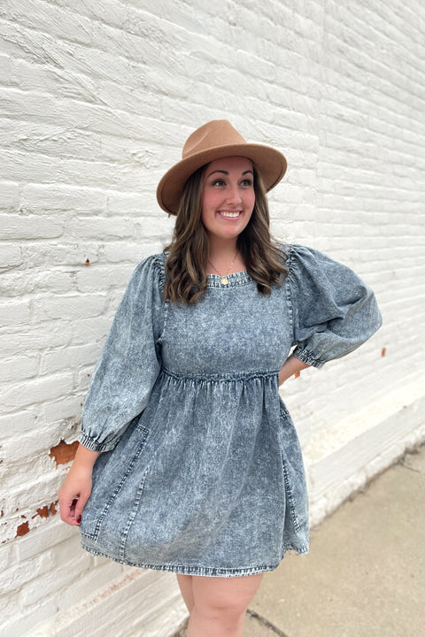 Drew Denim Dress