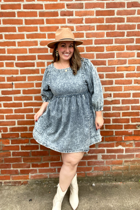 Drew Denim Dress
